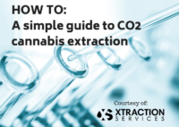 A simple guide to cannabis extraction